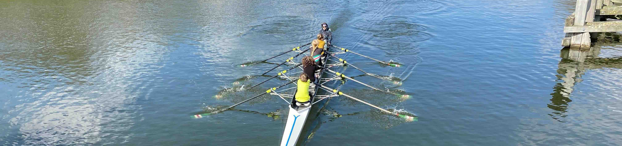 roeiers op de rug bij Muntbrug